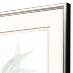 Pinto Delicate Eucalyptus II Framed Art