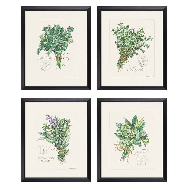 Roberts Herbs Framed Art Set of 4