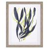 Goldberger Kelp Embrace I Framed Art