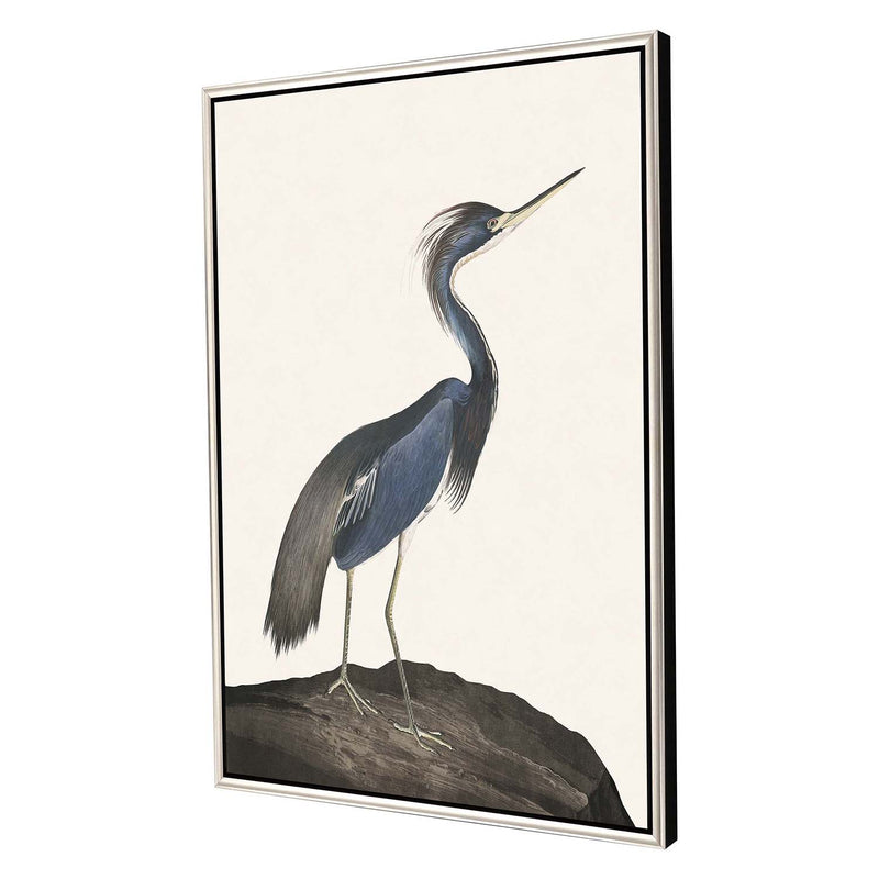 Audubon Great Heron I Framed Canvas Art