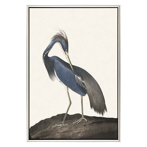 Audubon Great Heron II Framed Canvas Art