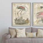 Cardoza Flamingo Framed Art