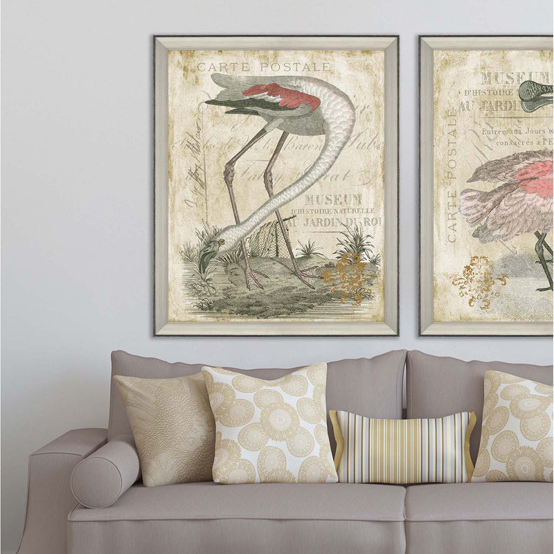 Cardoza Flamingo Framed Art