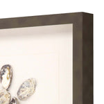 Inspire Studio Oyster Shell I Framed Art