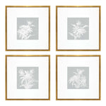 Paschke Echinacea Framed Art Set of 4