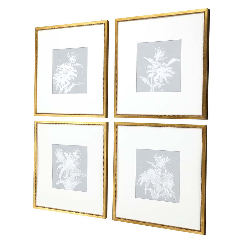 Paschke Echinacea Framed Art Set of 4
