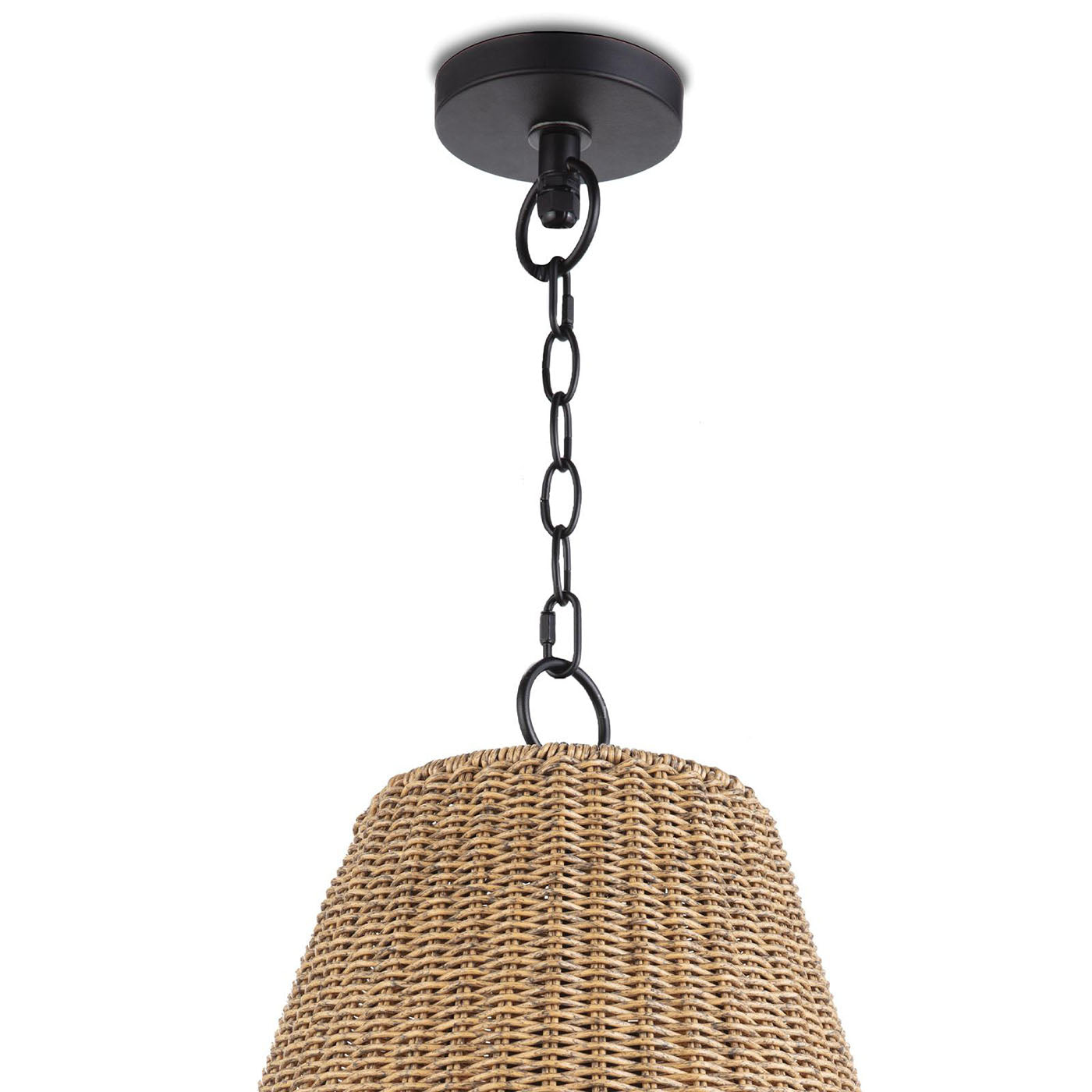 Regina Andrew Summer Outdoor Pendant