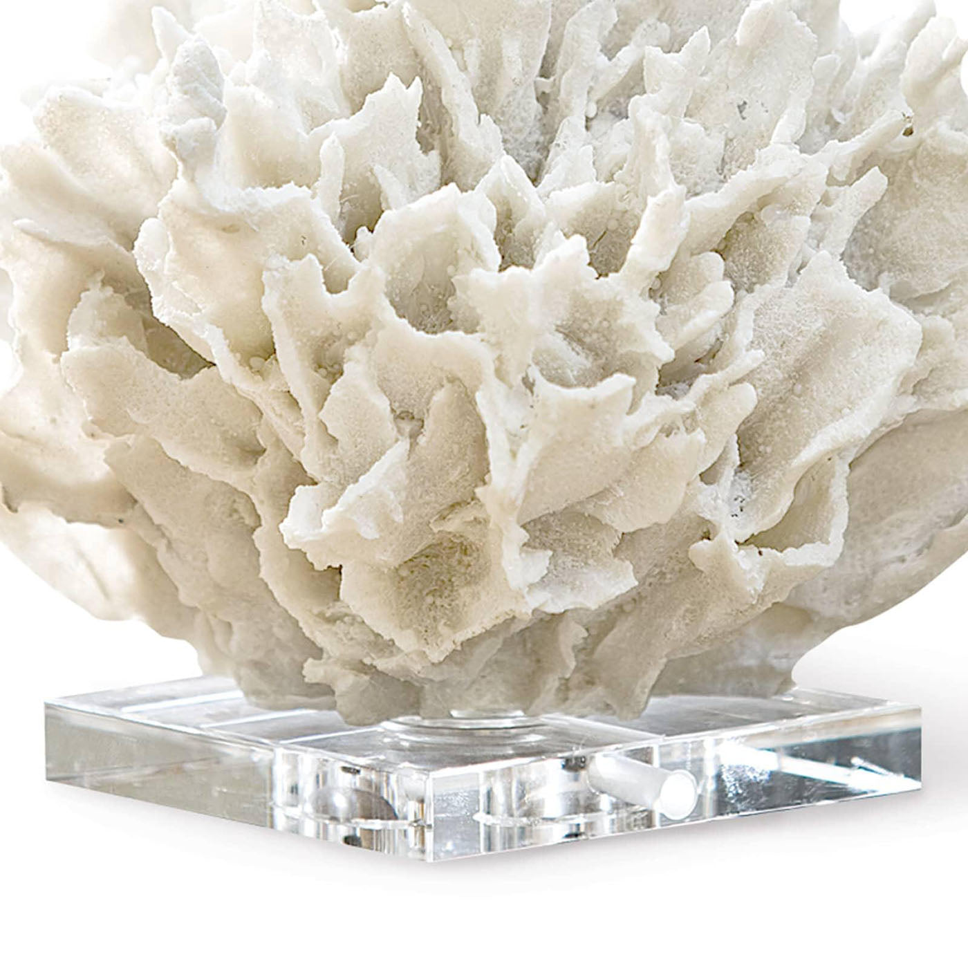 Regina Andrew Ribbon Coral