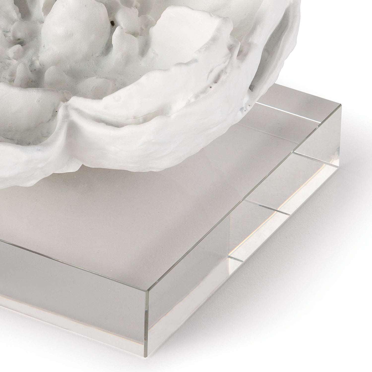 Regina Andrew Magnolia Decorative Object