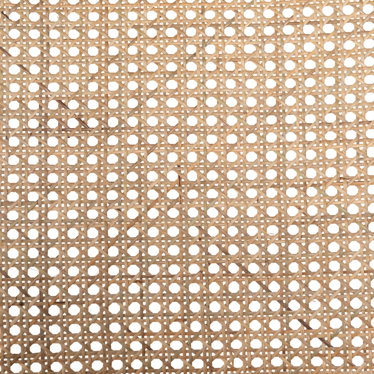 Four Hands Sage Dining Chair Set of 2 - Final Sale