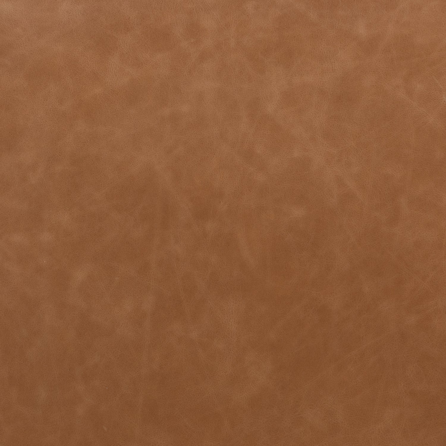 Four Hands Amare Dining Chair Set of 2