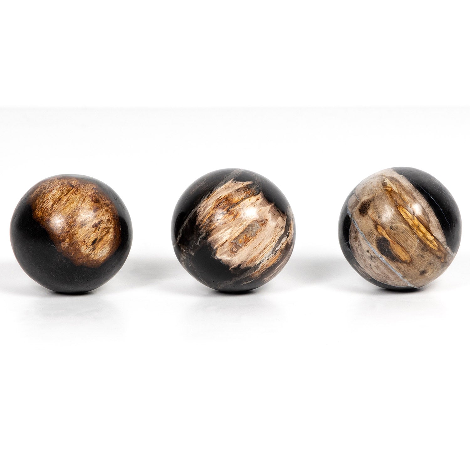 Four Hands Petrified Wood Ball Set