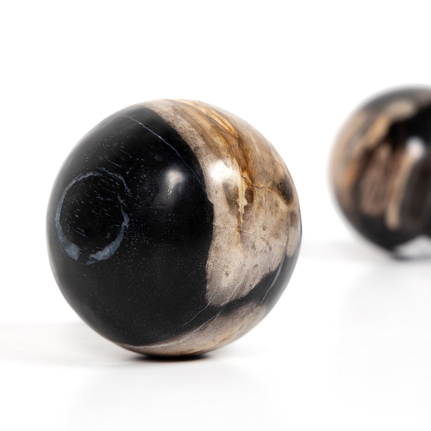 Four Hands Petrified Wood Ball Set