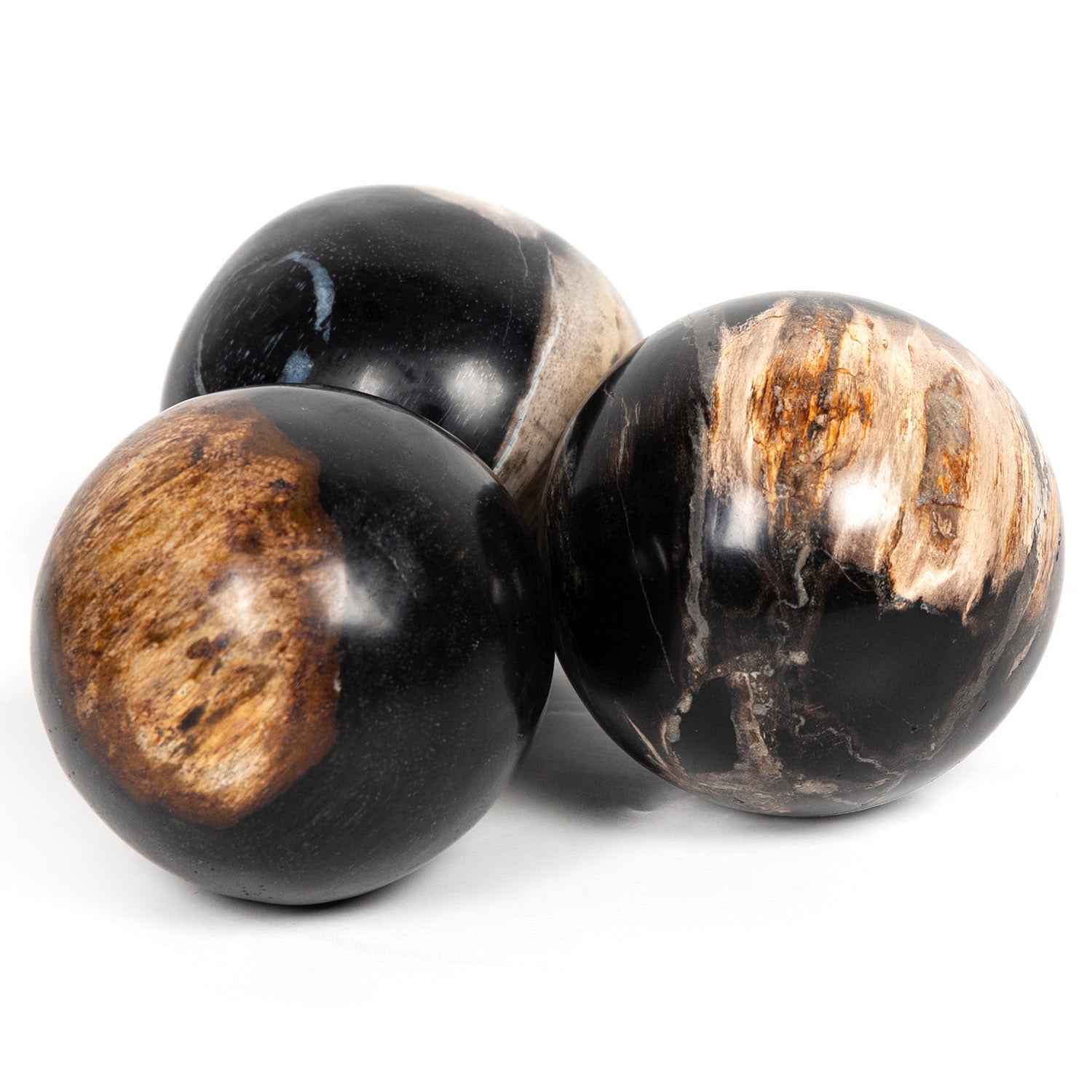 Four Hands Petrified Wood Ball Set