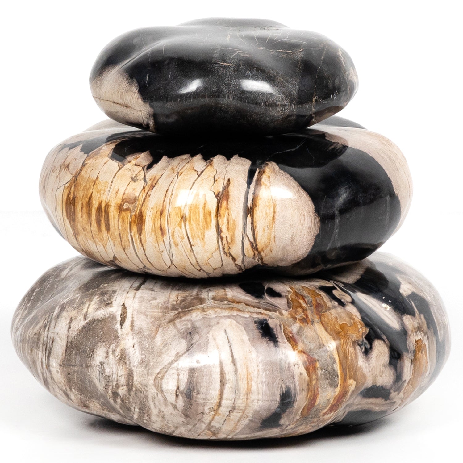 Four Hands Petrified Wood Organic Sculpture