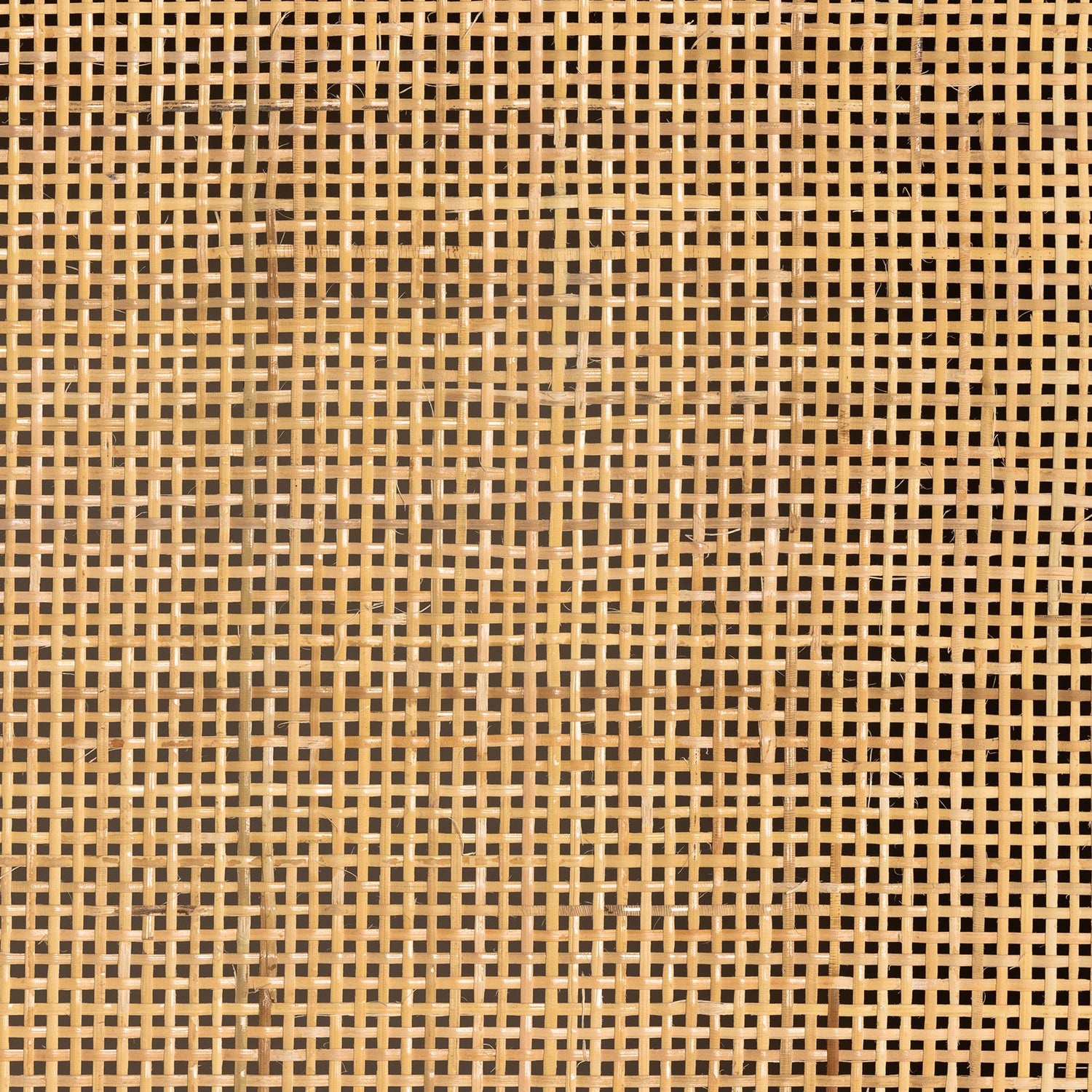 Four Hands Caprice Tall Cabinet