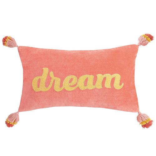 Dream Embroidered Throw Pillow