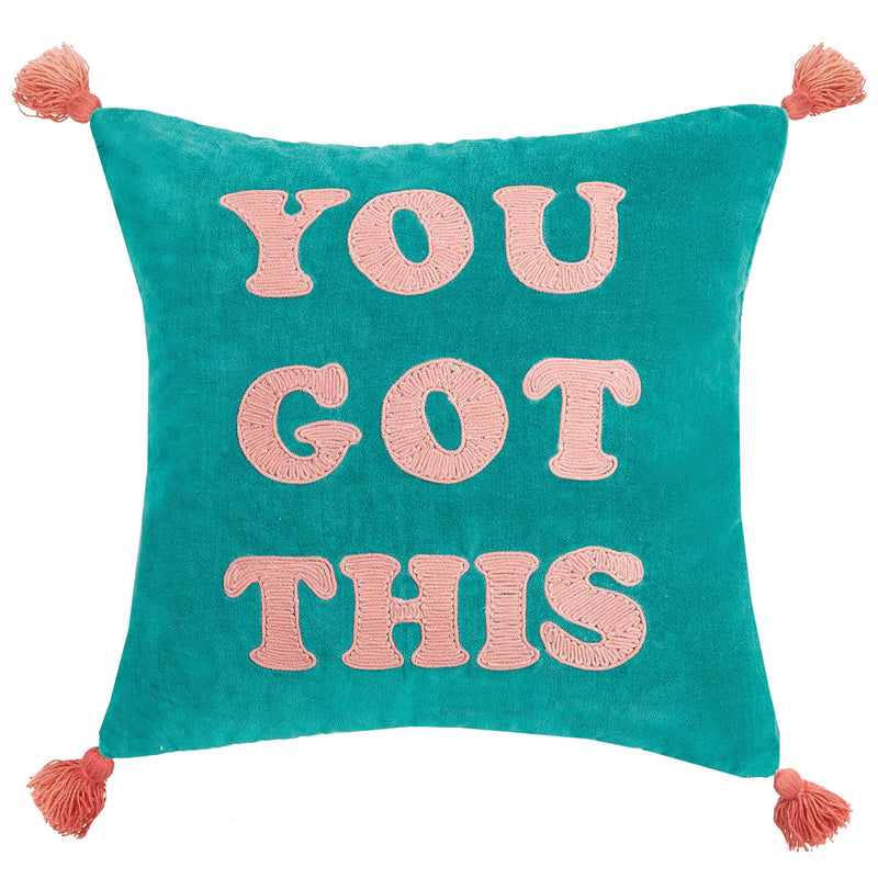 You Got This Embroidered Throw Pillow