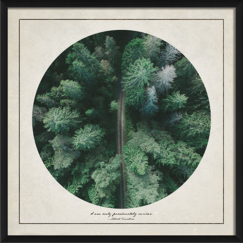 Above the Trees Framed Print - Paynes Gray