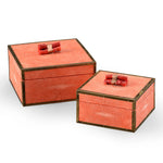 Wildwood Coral Box Set Of 2
