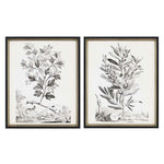 Munting Botanicals III Framed Art Set of 2