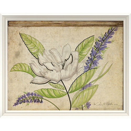 Purple and White Flowers Framed Print