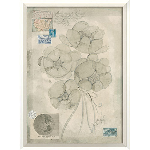 Flowers Apollo Framed Print
