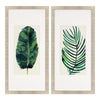 Johnson Palm Leaves II Framed Art Set of 2