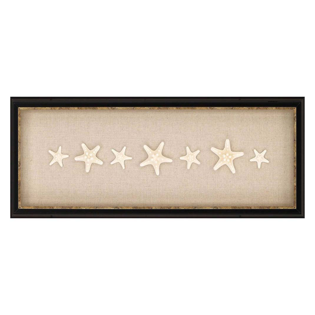Knobby Starfish Framed Art