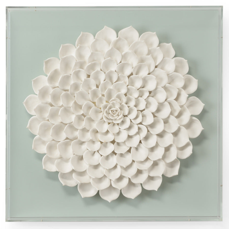 Chelsea House Succulent Shadowbox