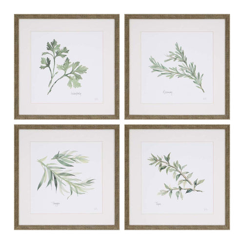 Paschke Herbs Framed Art Set of 4