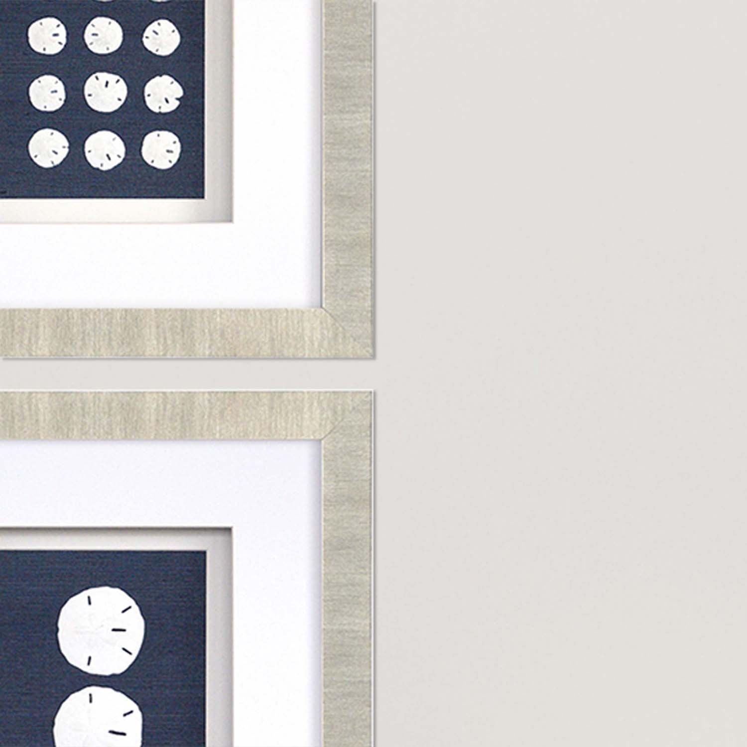 Sand Dollars Framed Art Set of 4