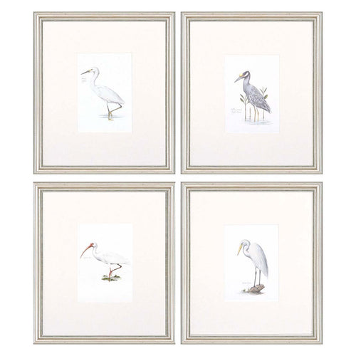 Simmons Egrets Framed Art Set of 4