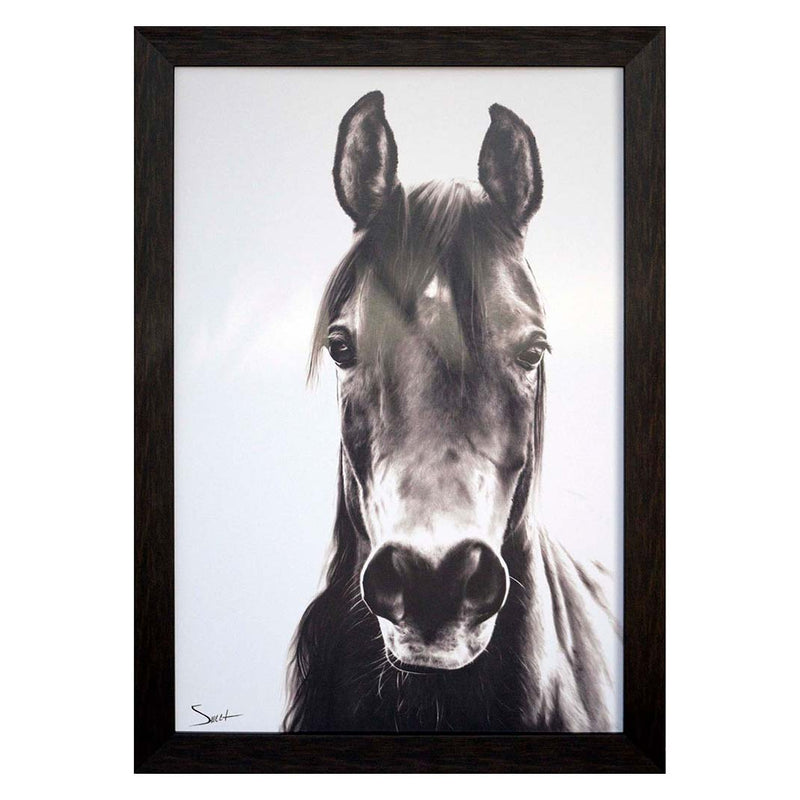 Sweet Horse Portrait Framed Art