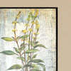 Vassileva Herbs Framed Art Set of 4