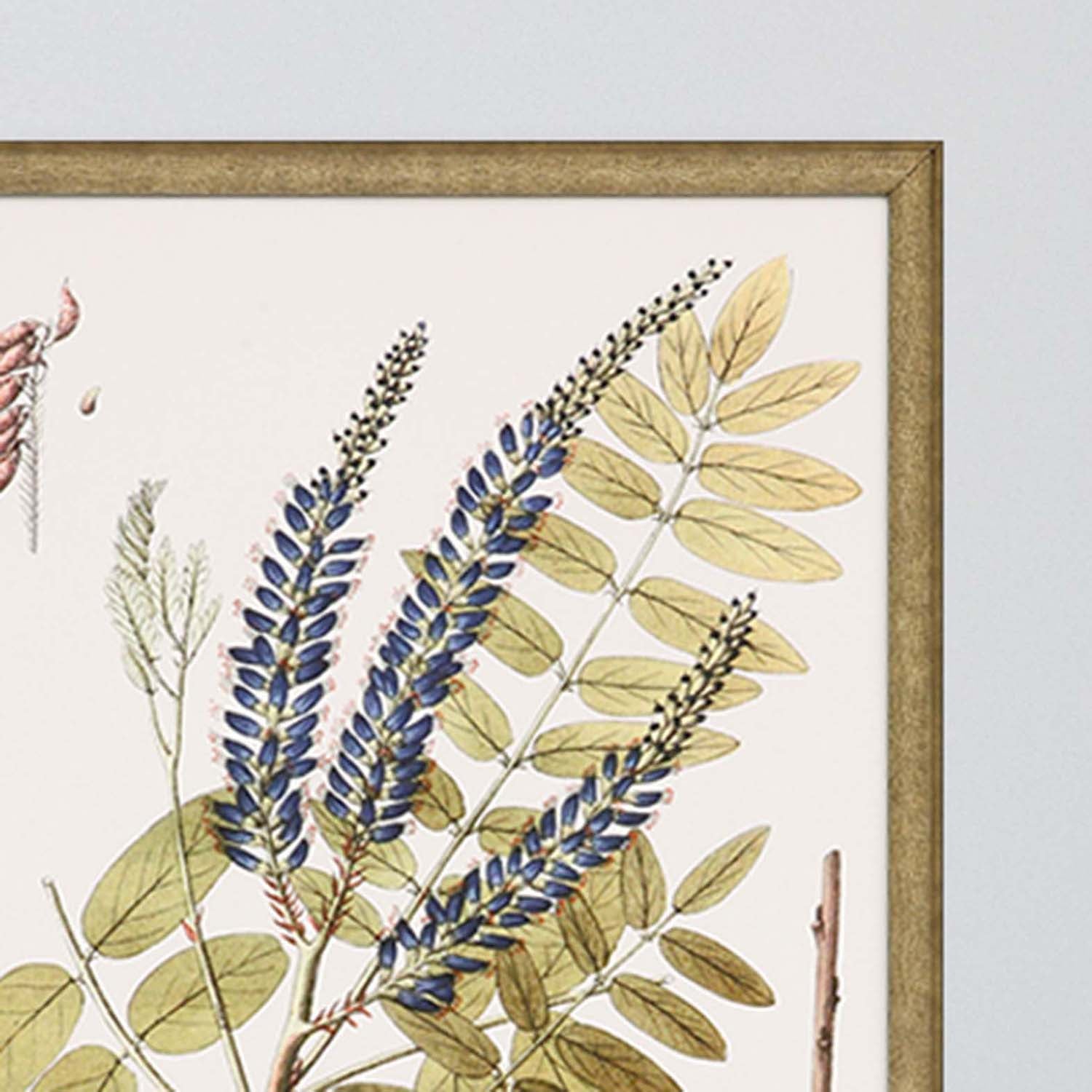 Lacy Leaves Framed Art Set of 4