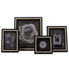 Sperry Horn Picture Frame Set of 4