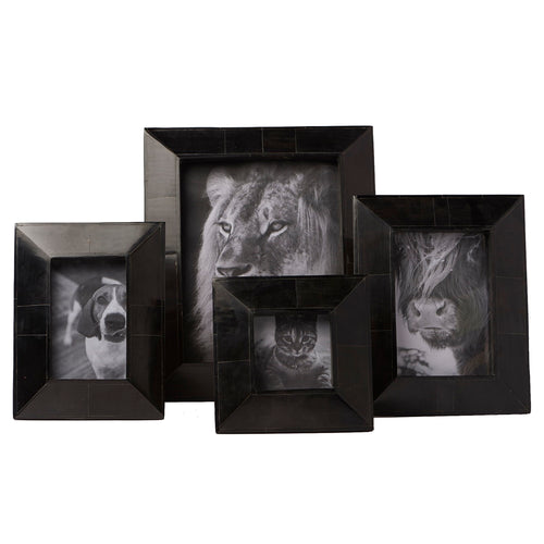 Walulla Horn Picture Frame Set of 4