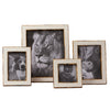 Stardust Picture Frame Set of 4