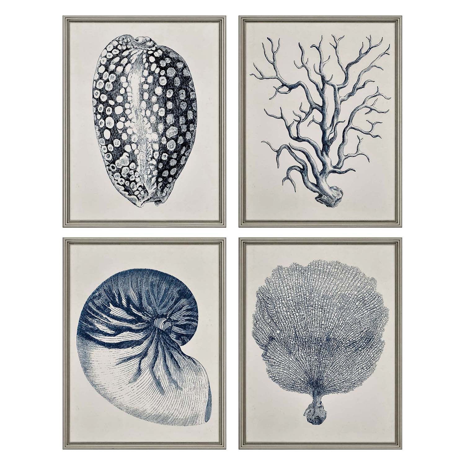 Vision Studio Coastal Framed Art Set of 4