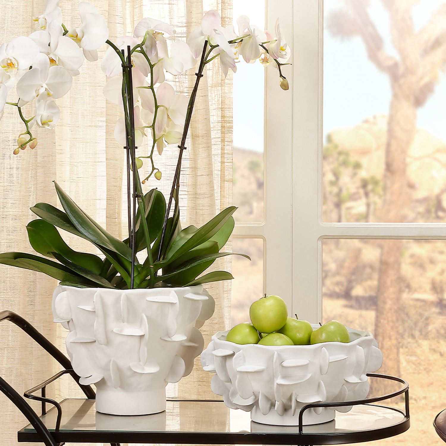 Jamie Young Helios Ceramic Decorative Bowl