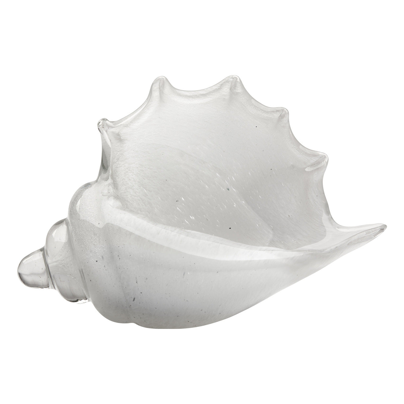 Jamie Young Triton Shell Object