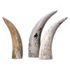 Jamie Young Varigated Horn Decorative Object Set of 3
