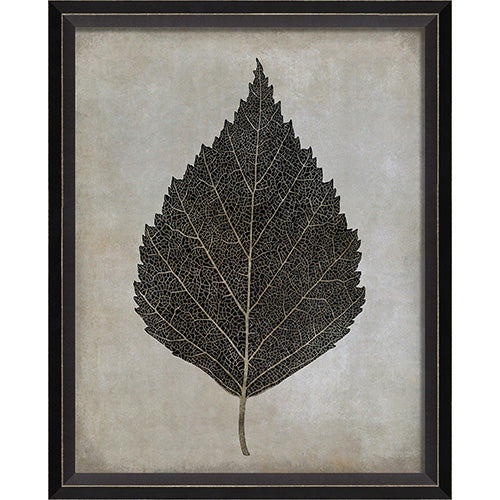 Birch Leaf Framed Print