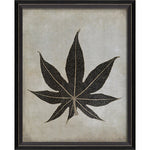 Caster Leaf Framed Print