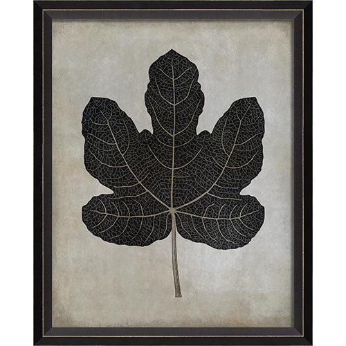 Fig Leaf Framed Print