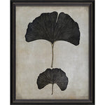 Ginkgo Leaves Framed Print