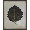 Aspen Leaf Framed Print
