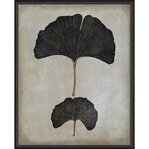 Ginkgo Leaves Framed Print