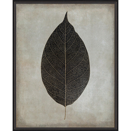 Leaf No 3 Framed Print